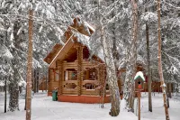 Istra Holidej Hotel Hotels in Solnechnogorsky District