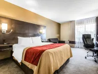 Comfort Inn Hotels in Grey County