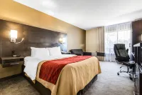 Comfort Inn Hotels in Owen Sound