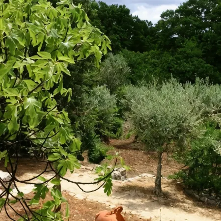 Agriturismo Antonelli Piangevino