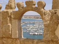 Butterfly Accommodation