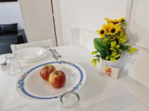 Holiferias NoStress Sal Island Hotel di 