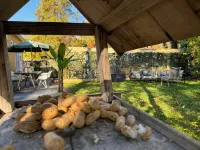 Forest view holiday house with private jacuzzi โรงแรมในฮอนเดอร์ลู