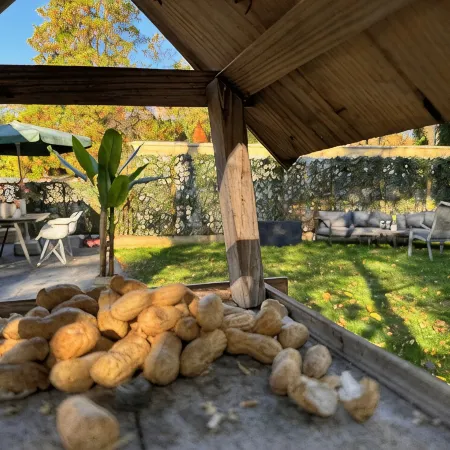 Forest view holiday house with private jacuzzi