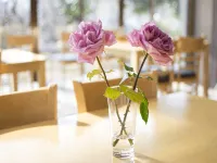 Yufuin Mori No Hotel Shan-Jewel - breakfast