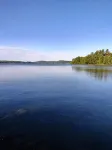 Quaint Cottage on Swan Lake