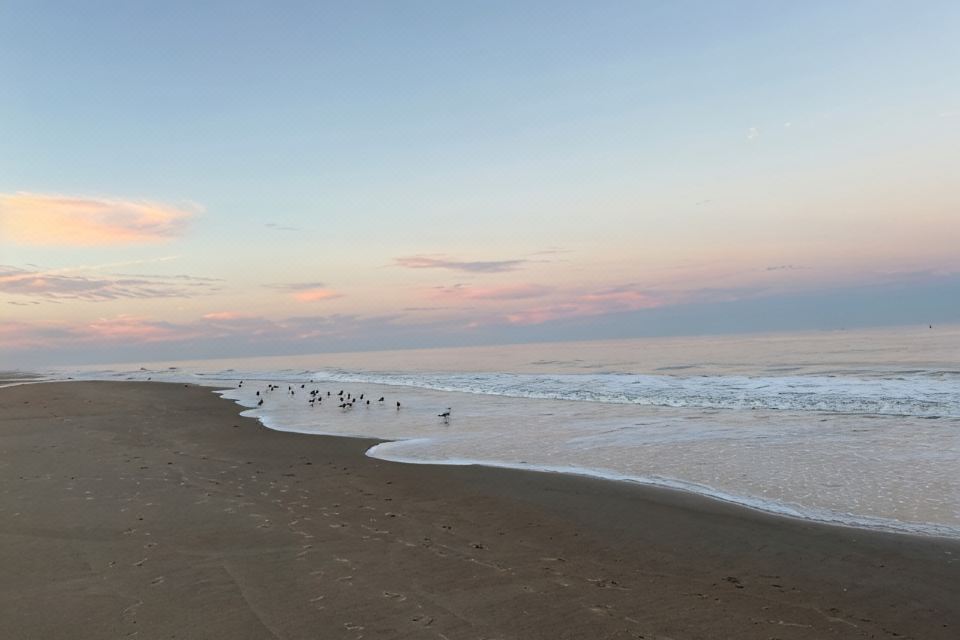Photo 5 of 6