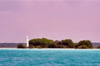 Soul & Sea #1 – East Beach Condo - Apartments