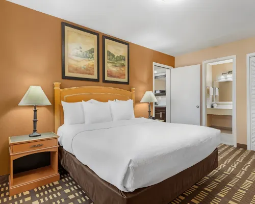 Quality Inn & Suites Plano East - Richardson Hotels in Collin County