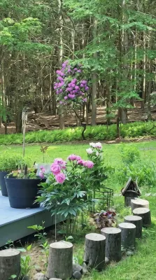 Mai's Cabin!