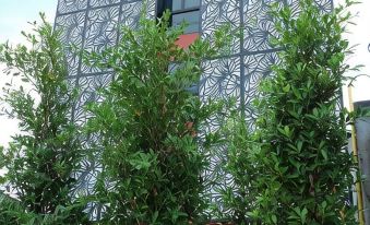 Nam Naka Boutique Hotel