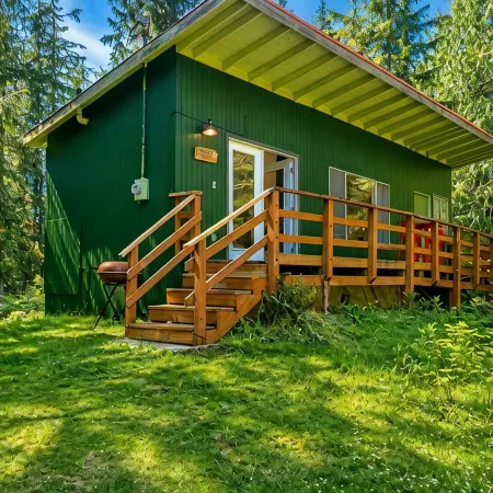 Cabin Steps from Mt. Rainier Park