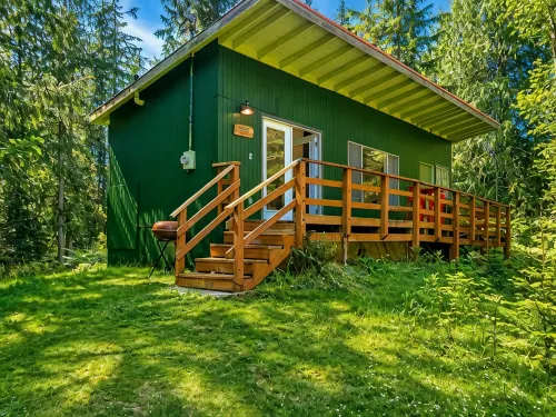 Cabin Steps from Mt. Rainier Park