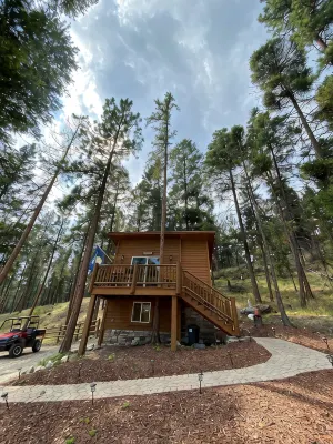 Gated Luxury Queen Bed Cottage Sleeps 2 Air Conditioning Kitchenette EV Charger - Chalets