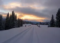 Bar 7 Ranch House - perfect for OHV travelers!