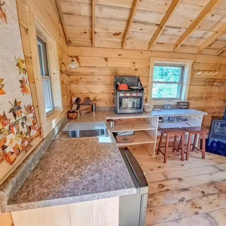 Tiny Tuloon Off-Grid Amish crafted log cabin near the BWCA & SHT - Sled Dogs!