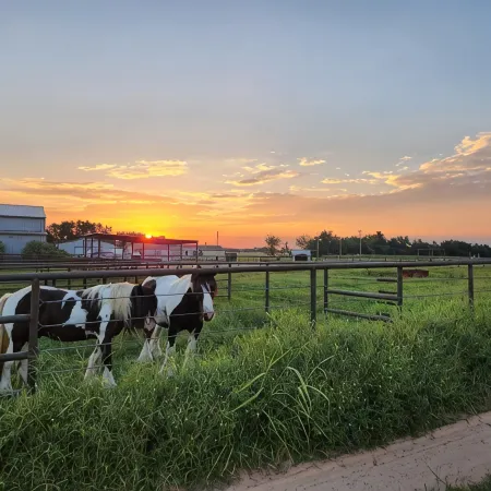 Cabin of Western Skies: loft, Wi-Fi , and tiny home living-close to OSU