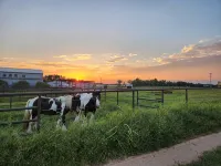 Cabin of Western Skies:  loft, Wi-Fi , and tiny home living-close to OSU - 3성급