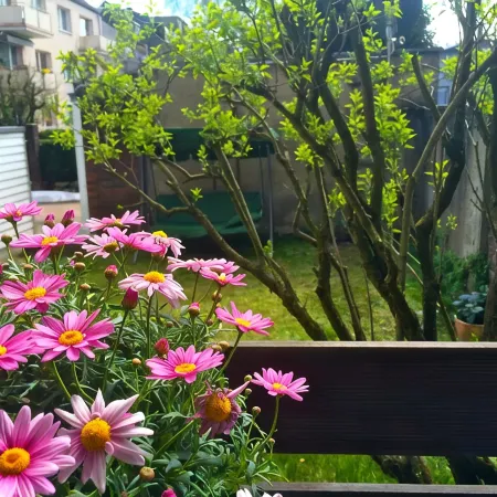 Charmant is centrally located, close to uni