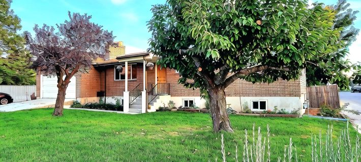 Gorgeous Island-Themed Retreat Sleeps 30 in Orem, UT! Hotels in Orem