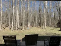 Fantastic Nordic Modern Cabin on Five Idyllic Acres