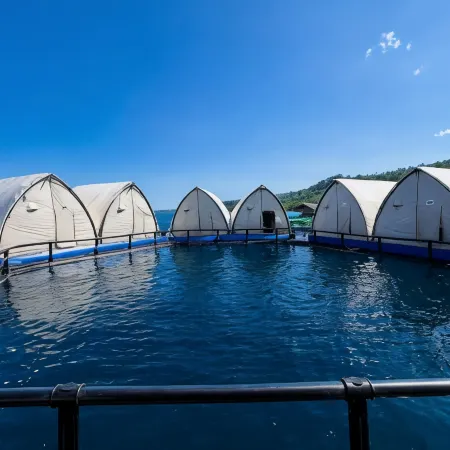 Reef Resort - Samal Island View Unit B7