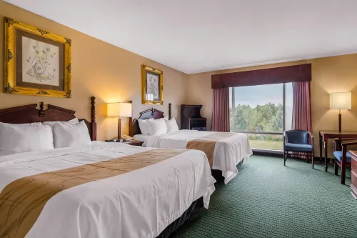 Precious Hotel