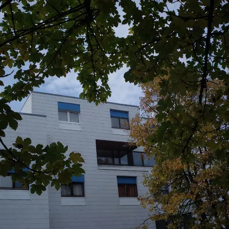 Perfect family holiday in the mountain forest: pool, sauna and fantastic views