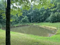 Friendly Fawn Sleeps 4, or Rent All 4 for 20. Horseback Riding Across the Rd!