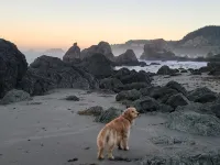 Adele's Oceanside Retreat Brookings w/ Private Beach Access Kid & Pet friendly! - 3 ดาว