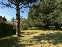 Quiet renovated house near the beach with beautiful garden in Kerdalé - Wifi