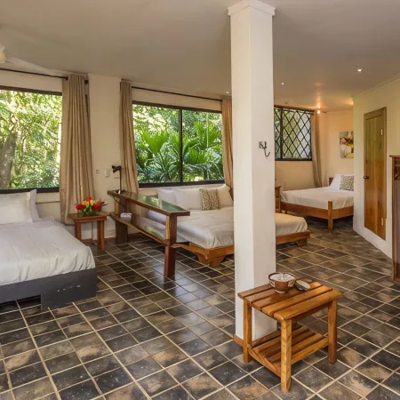 Incredible Tropical Retreat Full of Monkeys, Sloths, Toucans and much more