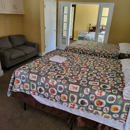 Specious and Cozy Ranch home with moonlight windows near Stone Mountain Park