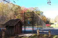 Private 3,100 Sq Ft Wolf Laurel Lodge w/ Epic Views, Skiing & at Trail Access - Wifi