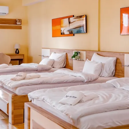 Hotel AirStar Hotels in Surcin