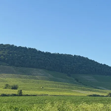 Horizon 360°