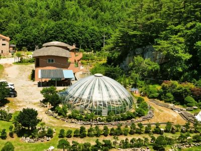 Jeongseon Forest Morning Pension