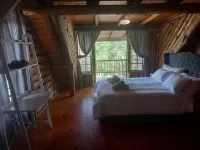 Little Creek Cabins - Homestays