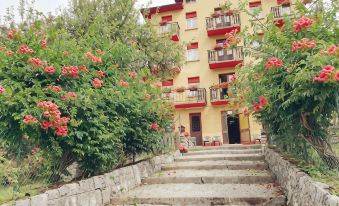 Paradiso - Housity