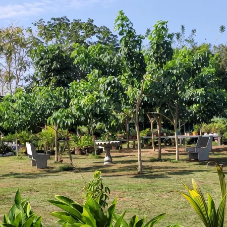 The Inn at Punta Mala