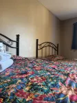 Live in Lodge - Homestay