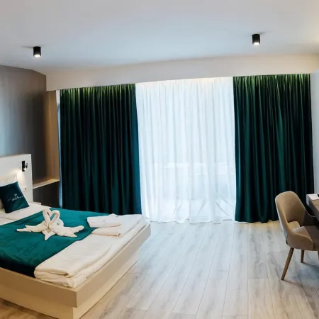 Vila Ursul Negru