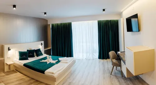 Vila Ursul Negru - Homestays