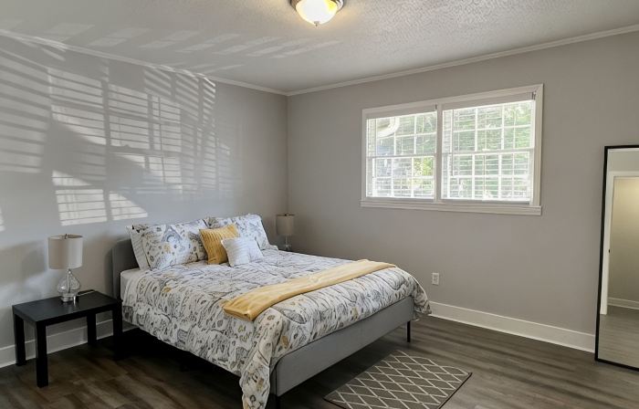 Cozy Apt. Near Downtown (2BR, 1BA, 3 beds)