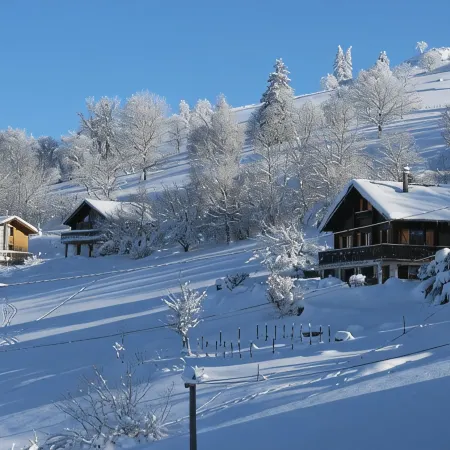 "Le Traverse" Chaleureux Appartement 6 Personnes à La Bresse