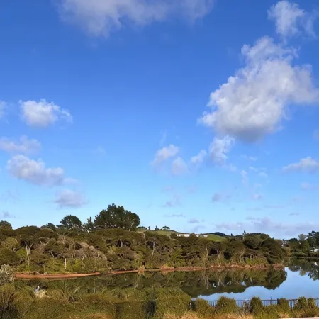 Raglan Retreat With Water Views