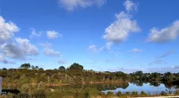 Raglan Retreat With Water Views