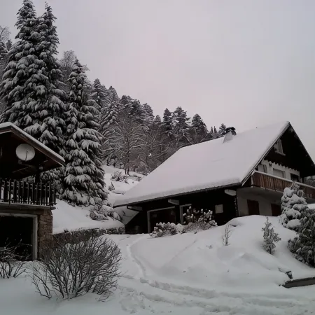 3-room apartment in "Les Pommes de Pin" chalet, with terrace and garden