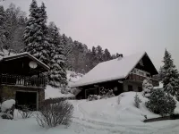 3-room apartment in "Les Pommes de Pin" chalet, with terrace and garden - Wi-Fi