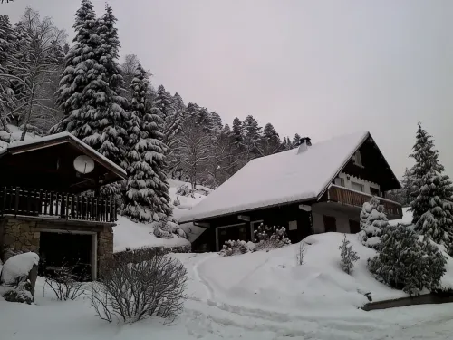 3-room apartment in "Les Pommes de Pin" chalet, with terrace and garden - Wi-Fi